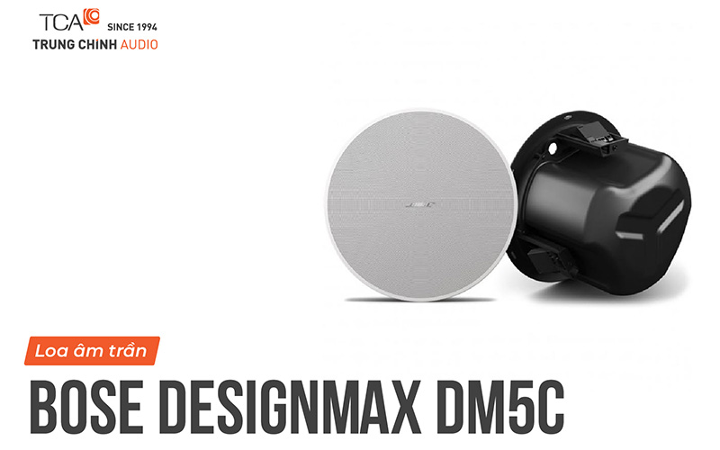 Bose DesignMax DM5C