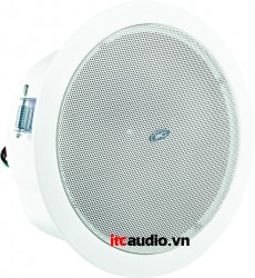 Loa gắn trần ITC T-105M