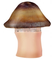 Loa sân vườn ITC T-500