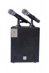 Loa kèm micro Shupu EON-10PRO